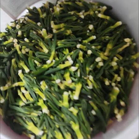 莲芯-莲中黄金