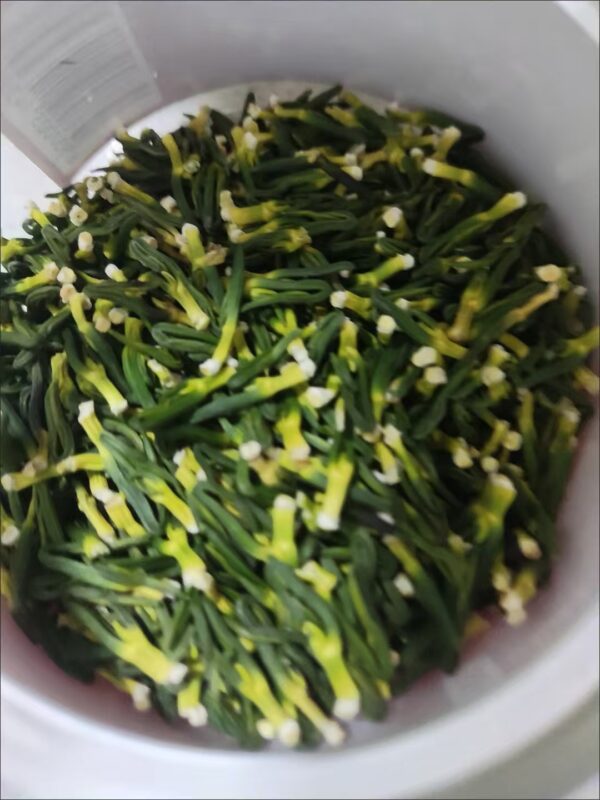 莲芯-莲中黄金