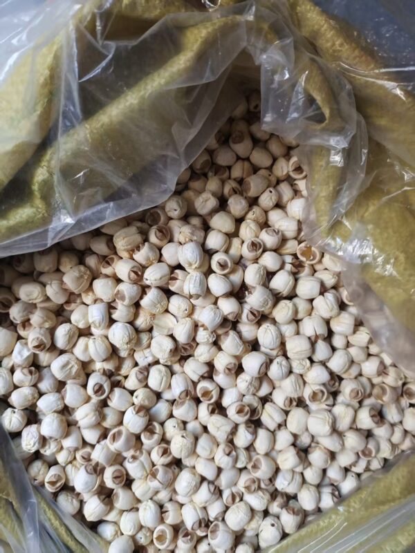 品质莲的生长环境 - 图片 8